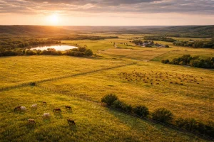 What Makes the Freeman Family Ranches Sale Different from Other Ranch Listings?